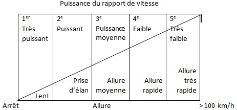 rapports de vitesses